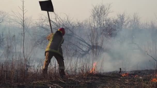 Bombero Apaga Incendio Forestal Cerca Ciudad Hierba Ardiente Con Humo — Vídeos de Stock