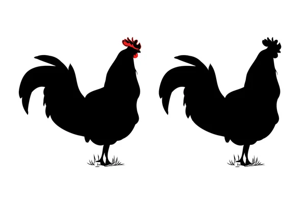 Rooster silhouette vector — Stock Vector