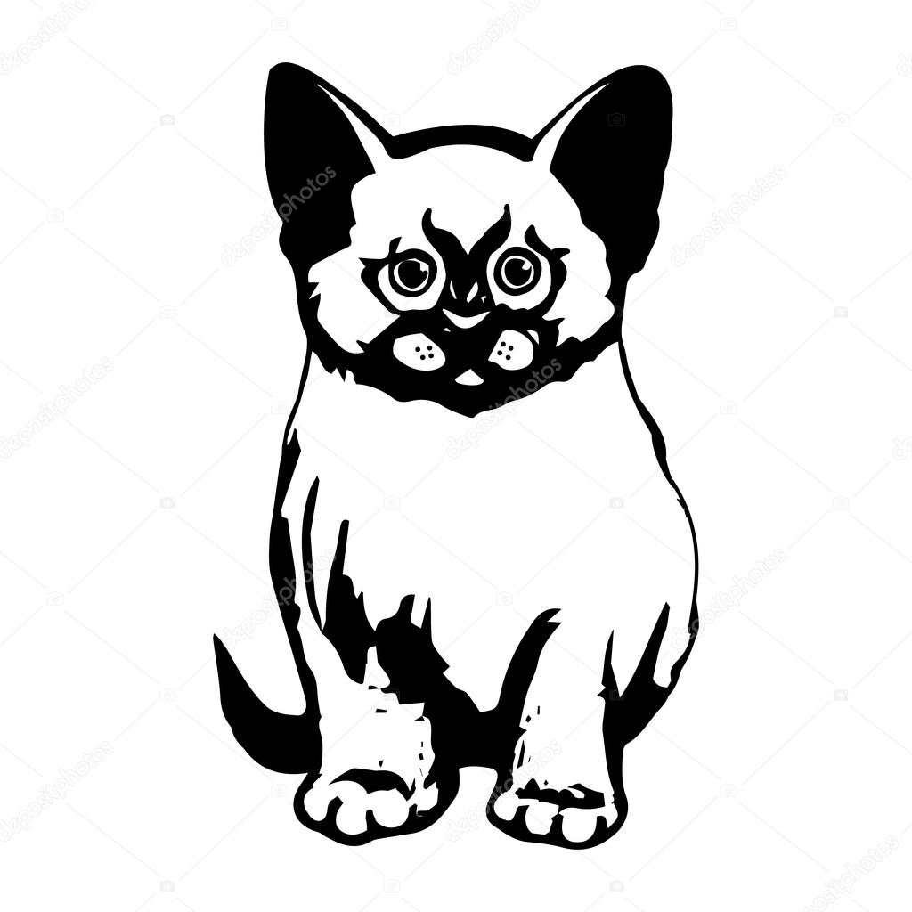 Siyam kedi yavrusu grafik vektör — Stok Vektör © Mila_Endo 126304768