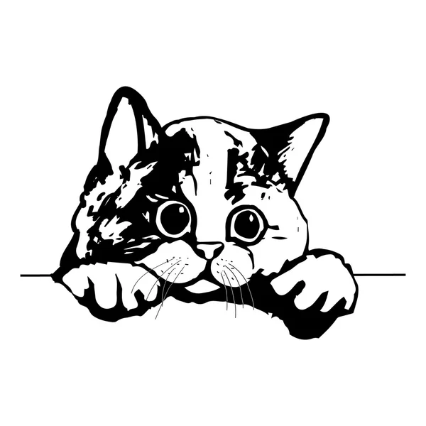 Aranyos macska, a nagy szemek — Stock Vector