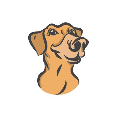 Labrador vektör başkanı