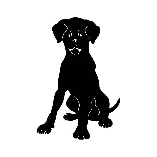 Silhouette chien Abracadabra — Image vectorielle