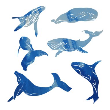 Mavi balinalar topluluğu