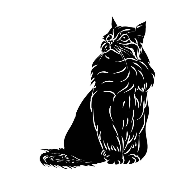 Silueta negra de gato esponjoso — Vector de stock