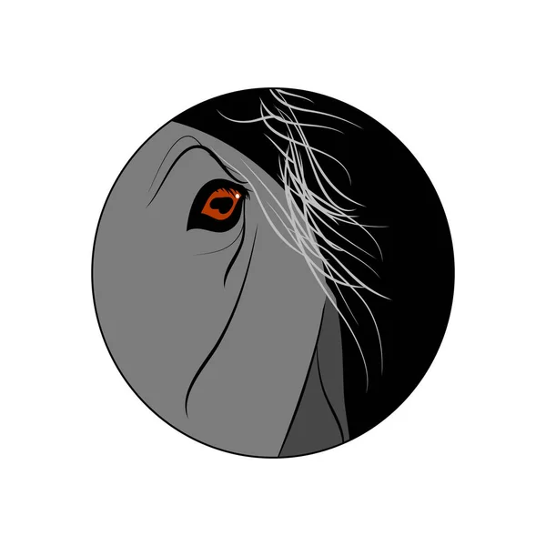 Ogen donkere grijze paard — Stockvector