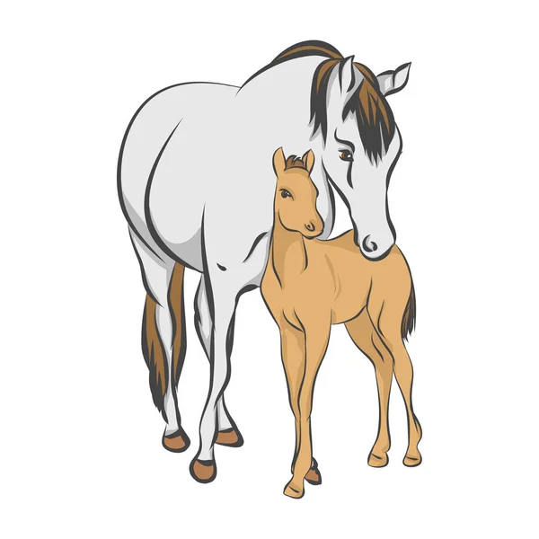 The grey horse and her foal — Stock Vector
