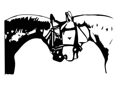 İki at - siyah ve beyaz - beyaz bir arka plan üzerinde