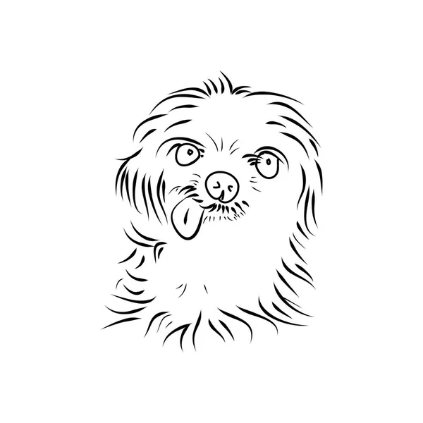 Cachorro lanudo sobre fondo blanco — Archivo Imágenes Vectoriales