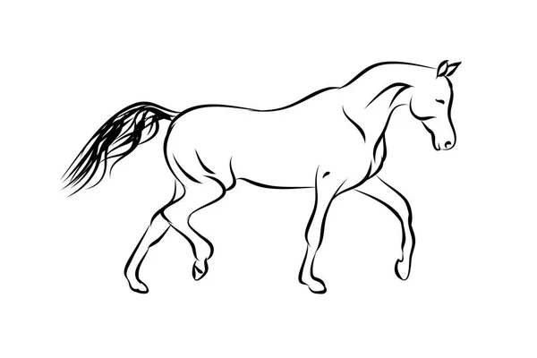 Pferd Traber auf weißem Hintergrund — Stockvektor