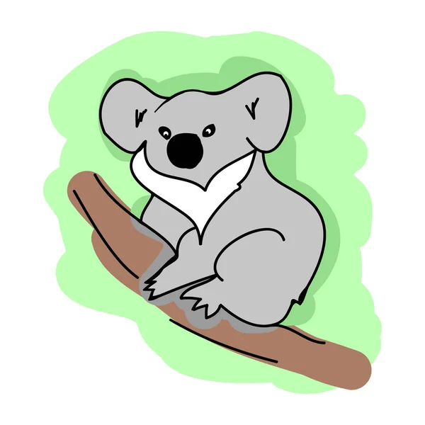 Koala on a branch on white background — Stock Vector