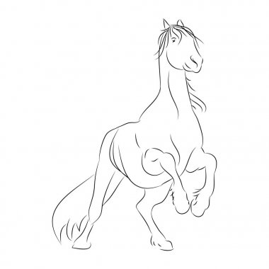 Beyaz arka plan üzerinde at kontur