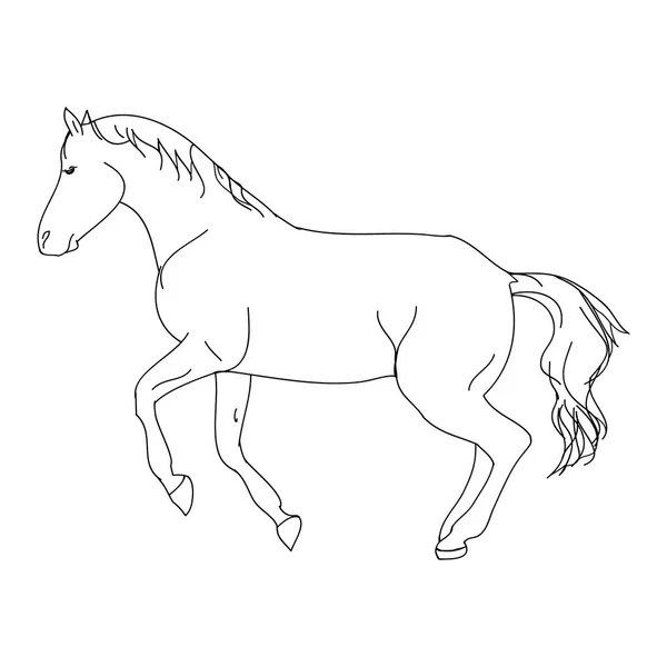 El contorno del caballo sobre fondo blanco — Vector de stock