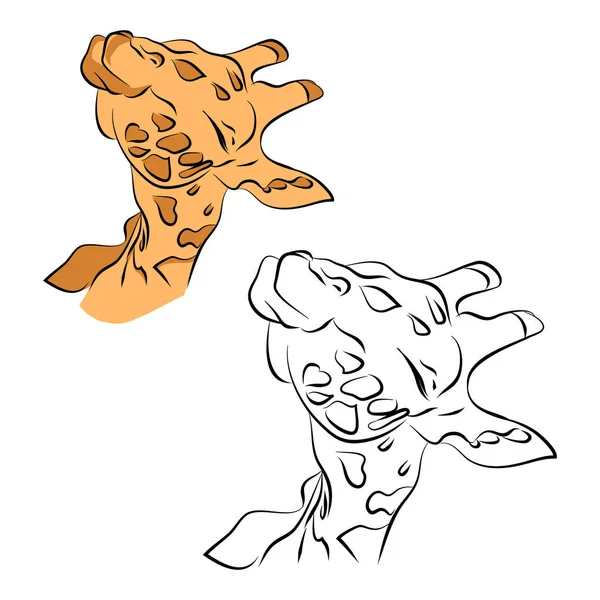 Beso jirafa ilustración — Vector de stock