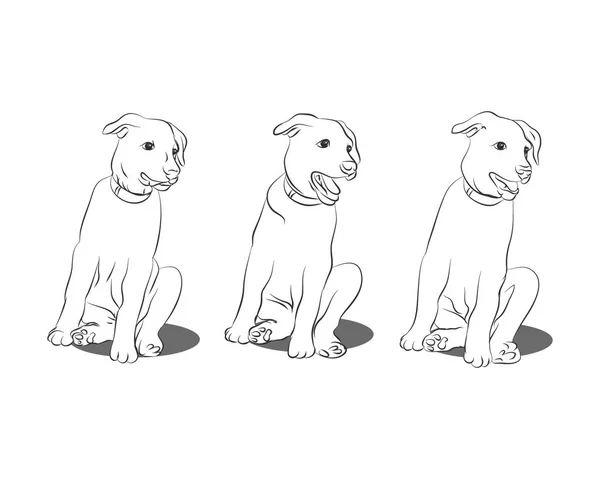 Esquema de un cachorro sobre un fondo blanco — Vector de stock