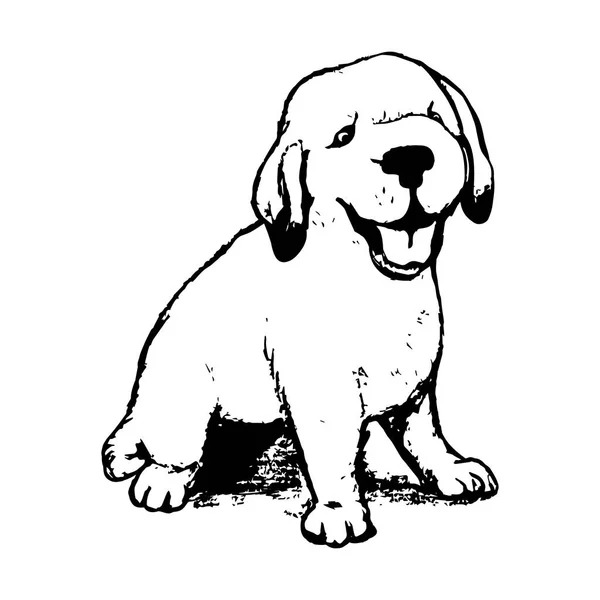 Graphiques chiot Labrador — Image vectorielle