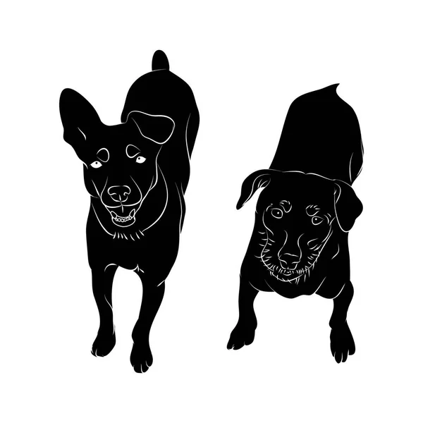 Dos perros vista superior — Vector de stock