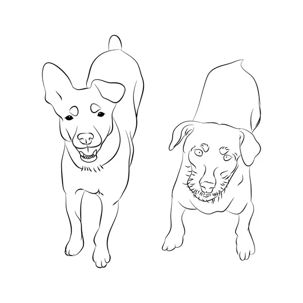Två hundar ovanifrån — Stock vektor