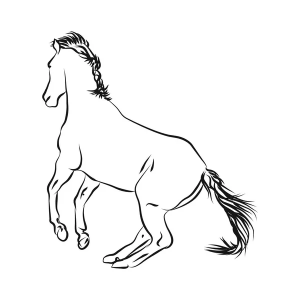 Contorno del caballo monocromo — Vector de stock