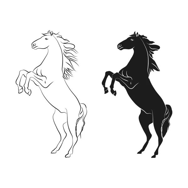 Pferd auf Hinterbeinen — Stockvektor