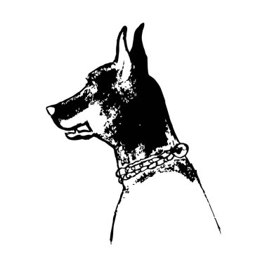 dogâ €™ s baş beyaz arka plan üzerinde