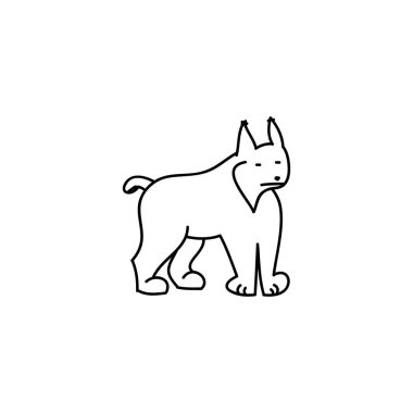 Beyaz arka plan Lynx