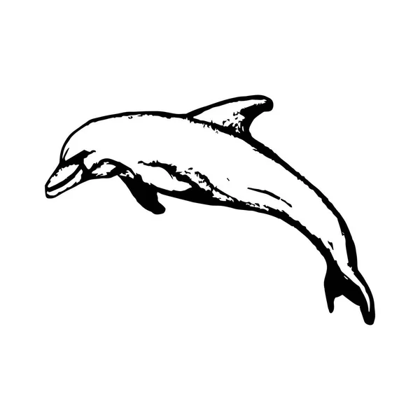 Delfín saltando del agua — Vector de stock