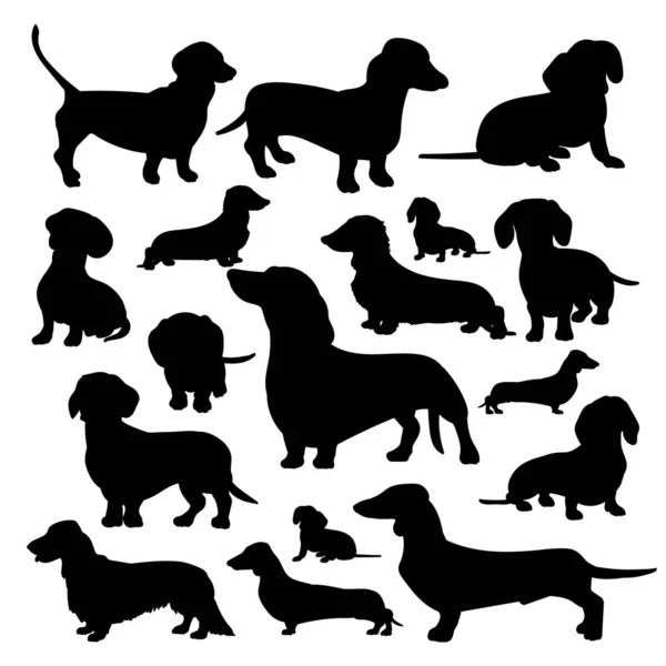 ダックスフントのシルエット 犬の黒いシルエット 白のイラストのセット — ストックベクタ