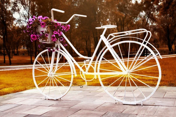 Rower jako ozdoba kwietników. Kwiat roweru. styl retro — Zdjęcie stockowe