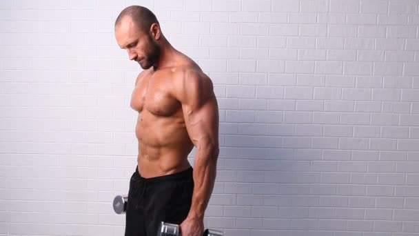 Strong topless man doing exercise with dumbbells — Stock Video