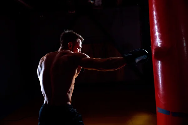 Boxer e sacco da boxe — Foto Stock