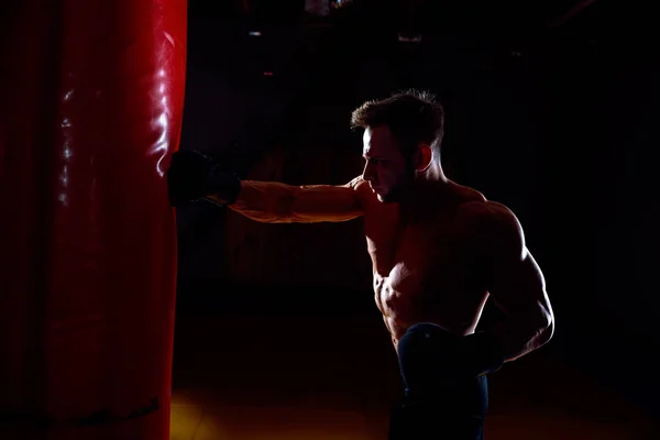 Boxer och slagsäck — Stockfoto