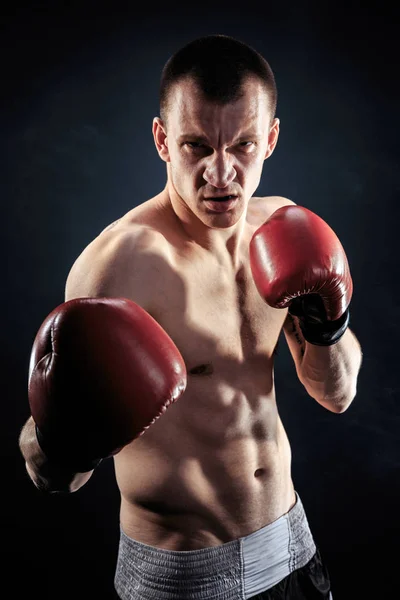 Muscular kickbox or muay thai fighter looking at camera. Royalty Free Stock Images