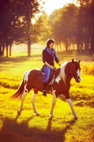 Hermosa chica montando un caballo en el campo. — Foto de Stock