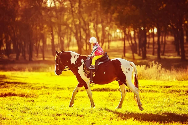 Klein meisje berijden van een paard — Stockfoto