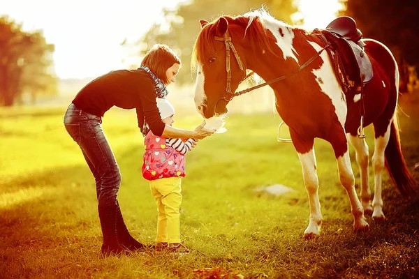 Moeder met dochter in een zonnige weide voeding van een paard. — Stockfoto