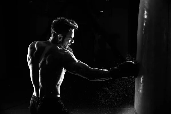 Boxer and punching bag — Stock Photo, Image