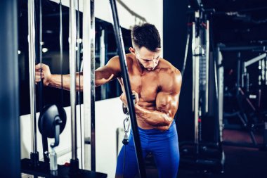 pazı için ağır egzersiz yaparak genç vücut geliştirmeci