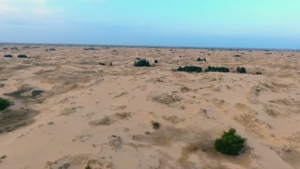 Pozpátku letící nad malebné písečné duny v poušti — Stock video