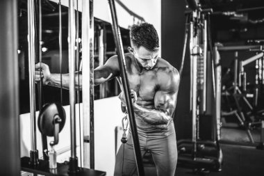 pazı için ağır egzersiz yaparak genç vücut geliştirmeci