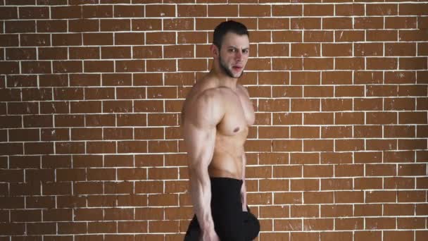 Концентрированный топлесс культурист выполняет бицепсы упражнения с гантелями над кирпичной стеной . — стоковое видео