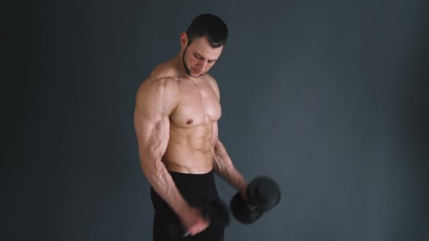Koncentrované topless kulturista provádění biceps cvičení s činkami šedé pozadí.