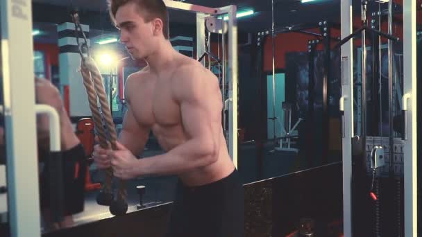 Νέοι bodybuilder που κάνει την άσκηση των βαρέων βαρών για τρικέφαλος μύς — Αρχείο Βίντεο