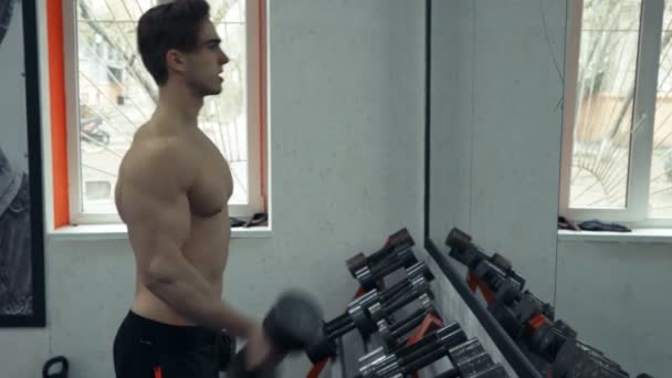 Spor salonunda dumbbells ile pazı egzersizleri yaparken kas vücut geliştirmeci adam — Stok video