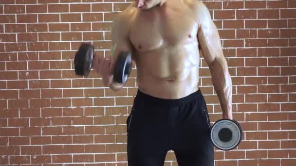 Strong man doing exercise with dumbbells — Stock Video