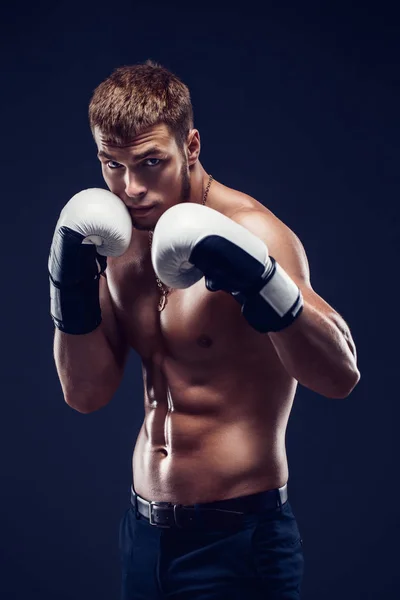 Aggressive shirtless boxer on grey background.