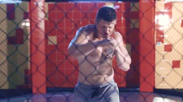 Sport och människor, unga manliga idrottare utbildning i boxning gym — Stockvideo