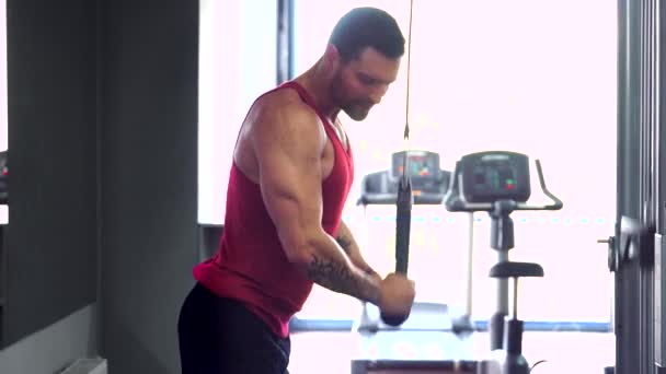 Guapo musculoso fitness culturista haciendo ejercicio de peso pesado para tríceps — Vídeo de stock