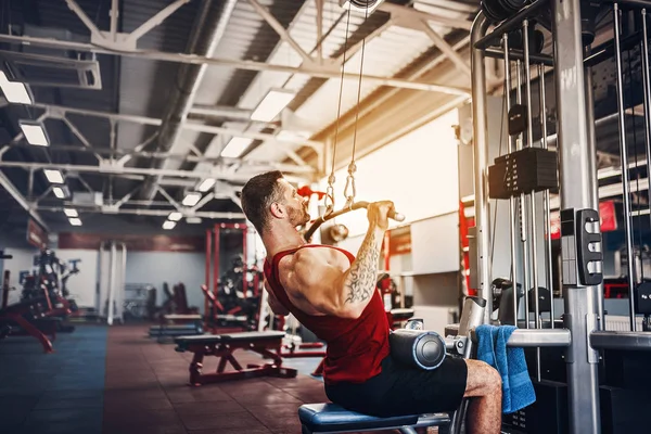 Arka üstünde makine için ağır egzersiz yaparak güçlü vücut geliştirmeci