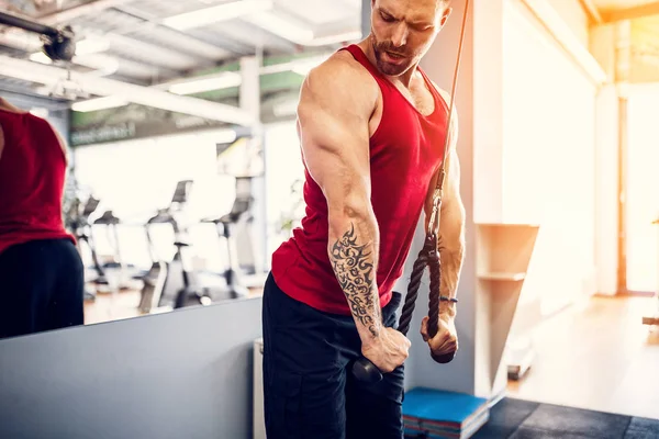Yakışıklı kaslı Fitness vücut geliştirmeci Triceps için ağır egzersiz yaparak