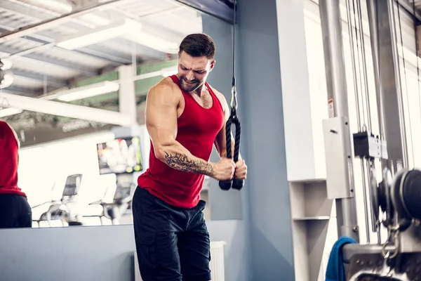 Yakışıklı kaslı Fitness vücut geliştirmeci Triceps için ağır egzersiz yaparak